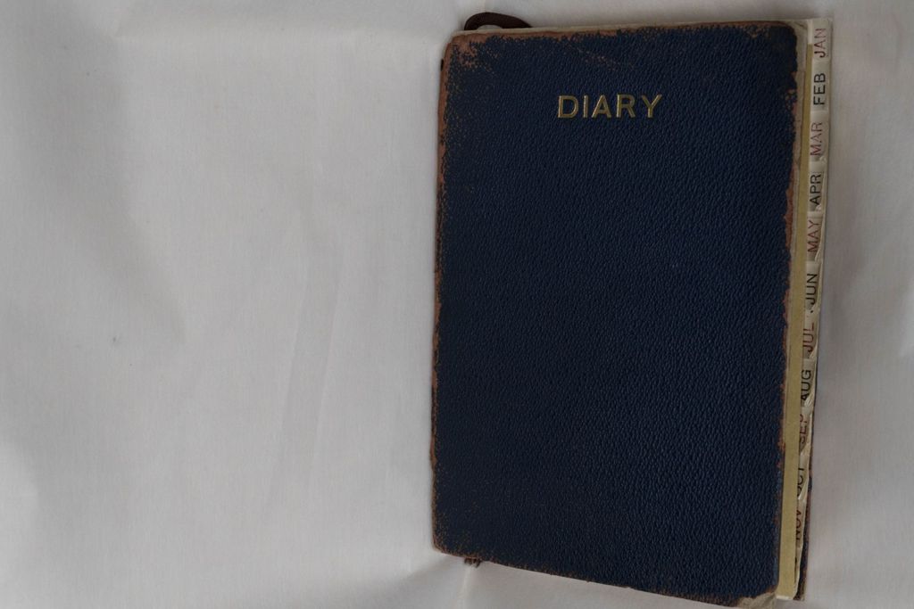 Miniature of Diary